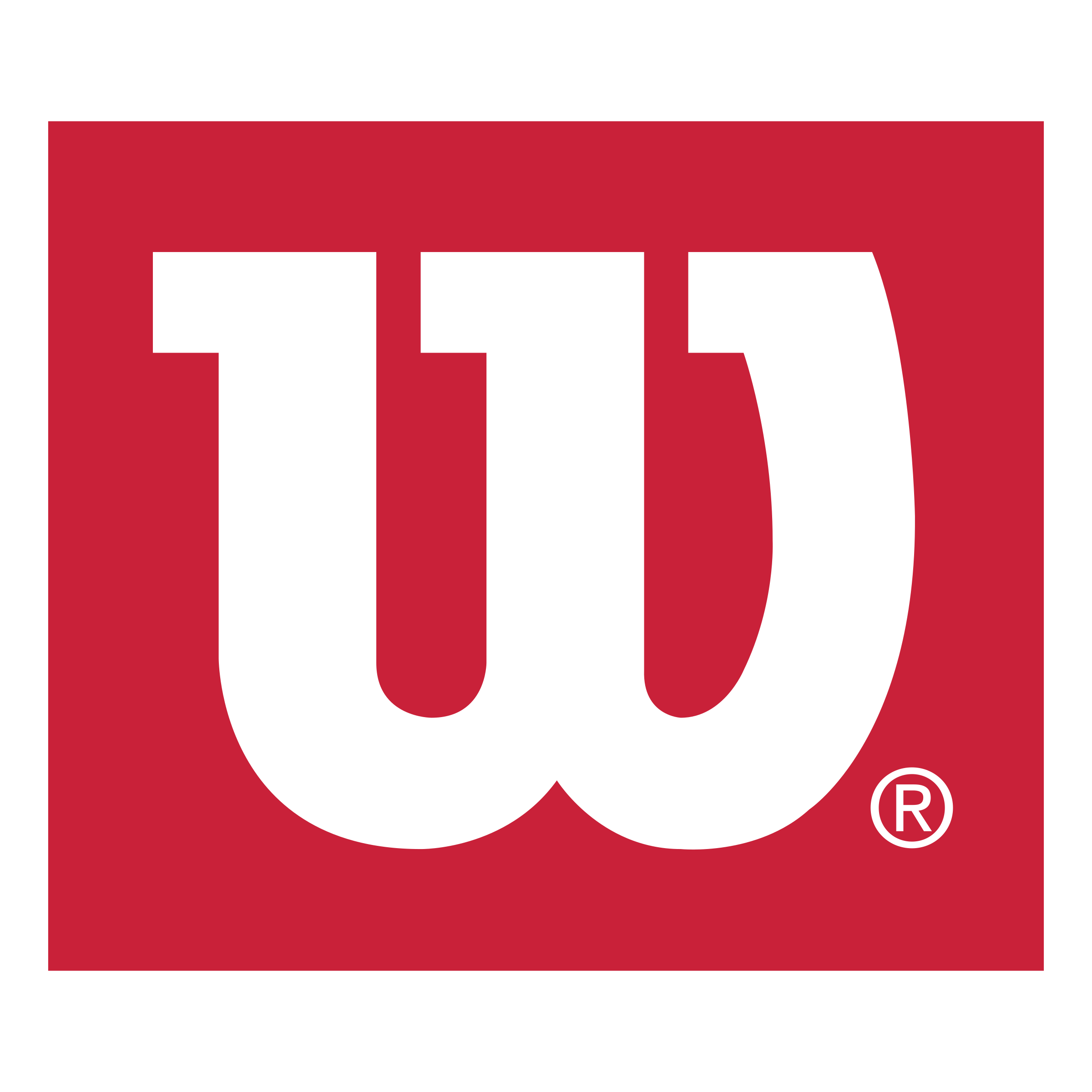 wilson-logo